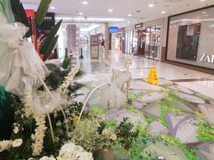 -凯德MALL(望京店)