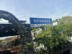 -水岸居湖景农家乐·阳澄湖大闸蟹