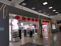 -谢列梅捷沃国际机场