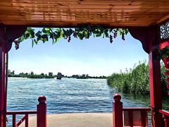 -白洋淀风景区