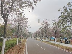 -麦当劳(北亭广场分店)