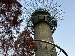 -黄海国家森林公园