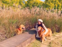 -白鹭湾湿地公园