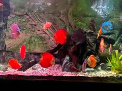 -上海海洋水族馆