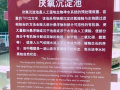 -成都市活水公园