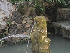 -蔡家宅