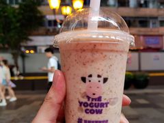-一只酸奶牛(八一路店)