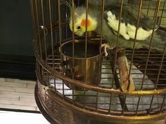 -小厨娘淮扬菜(六合欢乐港店)