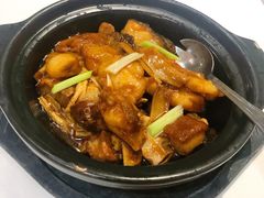 生焖海石斑-广州塔晖粤轩中餐厅