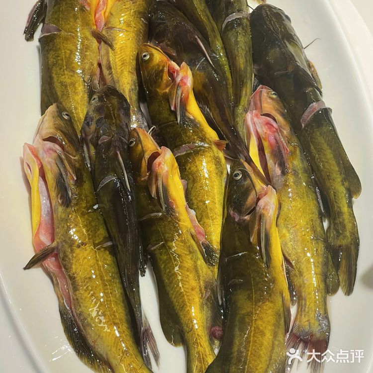 盐城探店 | 盐城美食 | 渔佬翁鲜鱼火锅