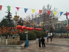 -西清公园