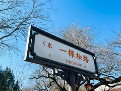 -香山公园