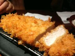 -山杏yama-katsu·吉列炸物