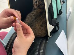 -美联众合动物医院·24h京西诊疗中心