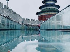 -黄贤森林公园