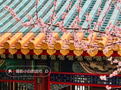 -颐和园