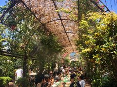 -The Grounds of Alexandria