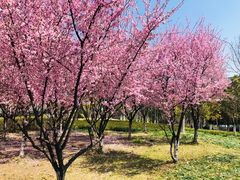 -白塘生态植物园