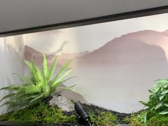 -绿茶餐厅(滨海万达广场店)