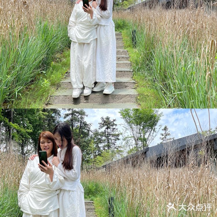 杭州绝美森林酒店——不是居.林 💞疗愈之旅🌈