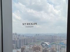 -Yan Ting宴庭中餐厅-长沙瑞吉酒店(运达店)