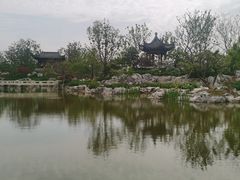 -上海滨江森林公园