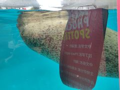 -海合安成都极地海洋公园