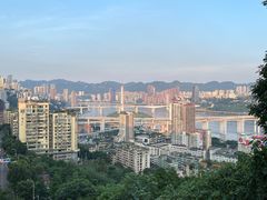 -喧闹·东方大气茶(鹅岭二厂店)