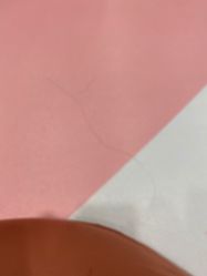 点击看大图 -西瓜怪兽(青岛城阳店)