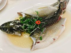 -新兴家喻酒家·羊城名宴(昌岗店)