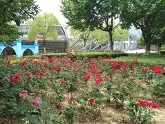 -白塘生态植物园