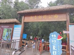 -西青郊野公园