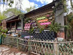 -三忘湖 SWANSEEN(柳荫公园店)