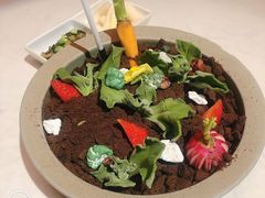 盆景色拉-荟廷·晶萃(陆家嘴尚悦湾店)