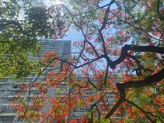 -屯门公园