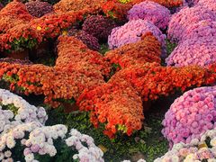 -国家植物园南园