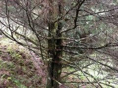 -硗碛藏寨·神木垒景区