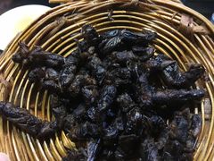 -昆虫窝子·特色云南菜(拓东路总店)