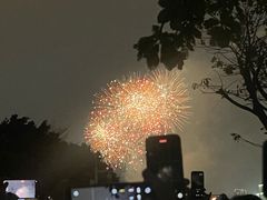 -广州白天鹅宾馆