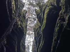 -梭布垭石林景区