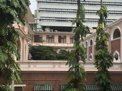 -香港大学