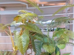 -湊湊火锅·茶憩(皇姑万象汇店)