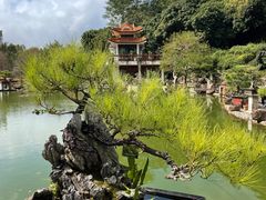 -深圳仙湖植物园