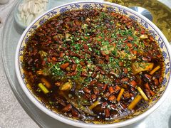 -新概念来凤鱼(璧山店)