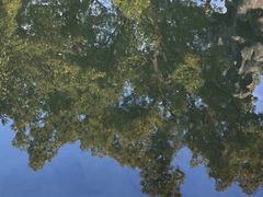 -浙江省博物馆(孤山馆区)