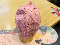 -野人先生现做冰淇淋(北京环宇荟店)