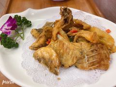 -寻味顺德·南记酒家·传统顺德菜·鱼生(广源路店)