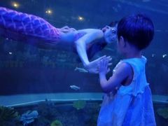 -白鹿仓冰雪海洋世界