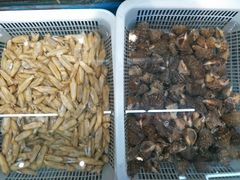 -日照大牌檔•小船海鲜(万平口店)