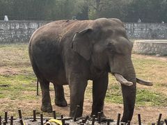 -西安秦岭野生动物园